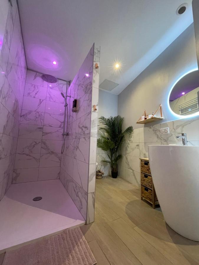 Le Nid De La Chouette - Gare & Cite By Apparts Spa 第戎 外观 照片